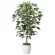 光触媒 人工観葉植物 造花 ベンジャミン 1.0 (高さ100cm) (200A150)