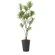 光触媒 人工観葉植物 造花 フレッシュドラセナ1.45 (高さ145cm) (2017A300)