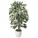光触媒 人工観葉植物 造花 ゴールデンフィカス 1.0 (高さ100cm) (202A150)