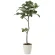 光触媒 人工観葉植物 造花 ベンガル菩提樹1.35 (高さ135cm) (2031Ｋ255)