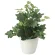 光触媒 人工観葉植物 造花 ヘデラアイビー (高さ33cm) (2039K35)