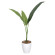 光触媒 人工観葉植物 造花 トラベラーズパーム 1.1 (高さ110cm) (205Ｋ130)