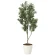 光触媒 人工観葉植物 造花 オリーブツリー 1.65 (高さ165cm) (2096A400)