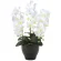 光触媒 人工観葉植物 造花 胡蝶蘭セリースW (高さ66cm) (20K120)