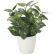 光触媒 人工観葉植物 造花 ポトスM (高さ36cm) (2103K35)