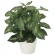 光触媒 人工観葉植物 造花 カラジュームM (高さ36cm) (2104K35)
