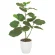 光触媒 人工観葉植物 造花 ウンベラ―タ80 (高さ80cm) (211A100)