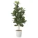光触媒 人工観葉植物 造花 カシワバゴム1.6 (高さ160cm) (2126A380)