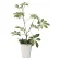 光触媒 人工観葉植物 造花 シェフレラ (高さ68cm) (212R70)