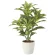 光触媒 人工観葉植物 造花 クロトン (高さ65cm) (2213A100)