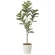 光触媒 人工観葉植物 造花 アルテシマ1.6 (高さ160cm) (2219A280)