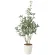 光触媒 人工観葉植物 造花 オリーブ1.1 (高さ110cm) (2223P200)