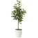 光触媒 人工観葉植物 造花 フレッシュマネーツリー90 (高さ90cm) (2224A120)