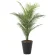 光触媒 人工観葉植物 造花 パームツリー95(ポリ製) (高さ95cm) (2236A135)