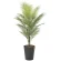 光触媒 人工観葉植物 造花 パームツリー1.3(ポリ製) (高さ130cm) (2238A200)