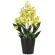 光触媒 人工観葉植物 造花 オンシジュームL (高さ53cm) (2262A70)