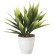 光触媒 人工観葉植物 造花 ドラセナ(ポリ製) (高さ45cm) (2267R35)