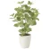 光触媒 人工観葉植物 造花 ペリーラ70 (高さ70cm) (2271K100)