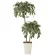 光触媒 人工観葉植物 造花 ゴールデンフィカスダブル1.2 (高さ120cm) (2282A200)