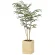光触媒 人工観葉植物 造花 ウッドボックスショウナンゴム1.8 (高さ180cm) (2300A580)