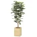 光触媒 人工観葉植物 造花 ウッドボックスベンジャミン1.8 (高さ180cm) (2301A520)