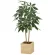 光触媒 人工観葉植物 造花 ウッドボックスパキラ1.0 (高さ100cm) (2305R230)