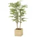 光触媒 人工観葉植物 造花 ウッドボックスライトトネリコ1.0 (高さ100cm) (2306R280)