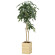 光触媒 人工観葉植物 造花 ウッドボックスパキラ1.6 (高さ160cm) (2309R450)