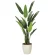 光触媒 人工観葉植物 造花 フレッシュトラベラーズパーム1.55 (高さ155cm) (2314A320)