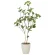 光触媒 人工観葉植物 造花 サラサドウダン1.2 (高さ120cm) (2323A210)