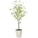 光触媒 人工観葉植物 造花 クロモジ1.2 (高さ120cm) (2324A200)