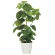 光触媒 人工観葉植物 造花 フレッシュDXウンベラータ1.3 (高さ130cm) (2327A480)