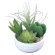 光触媒 人工観葉植物 造花 寄せ植えラブリ―(ポリ製) (高さ15cm) (232A40)