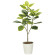 光触媒 人工観葉植物 造花 フレッシュアルテシマ1.35 (高さ135cm) (2332A310)