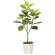光触媒 人工観葉植物 造花 フレッシュアルテシマ1.35 (高さ135cm) (2332A310)