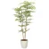 光触媒 人工観葉植物 造花 ソヨゴ1.6 (高さ160cm) (2338A380)