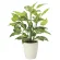 光触媒 人工観葉植物 造花 フレッシュディフェンバキアL (高さ70cm) (2353A85)