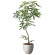 光触媒 人工観葉植物 造花 ナチュラルパキラ1.6 (高さ160cm) (2400P580)