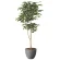 光触媒 人工観葉植物 造花 ナチュラルベンジャミン1.6 (高さ160cm) (2401A500)