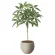 光触媒 人工観葉植物 造花 ナチュラルパキラ90 (高さ90cm) (2408A215)