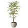 光触媒 人工観葉植物 造花 ナチュラルライトトネリコ1.1 (高さ110cm) (2410R280)