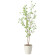 光触媒 人工観葉植物 造花 クロモジ1.6 (高さ160cm) (2415A260)