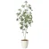 光触媒 人工観葉植物 造花 サラサドウダン1.6 (高さ160cm) (2416R300)