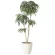 光触媒 人工観葉植物 造花 DXショウナンゴム1.8 (高さ180cm) (2417A500)