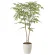 光触媒 人工観葉植物 造花 ソヨゴ1.0 (高さ100cm) (2418A190)