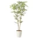 光触媒 人工観葉植物 造花 ソヨゴ1.3 (高さ130cm) (2419A230)