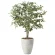 光触媒 人工観葉植物 造花 ナチュラルフィカスツリー1.5 (高さ150cm) (2424A590)