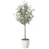光触媒 人工観葉植物 造花 ユーカリツリー1.65 (高さ165cm) (2425A320)