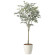 光触媒 人工観葉植物 造花 オリーブツリー1.7 (高さ170cm) (2426A310)