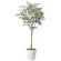 光触媒 人工観葉植物 造花 オリーブツリー1.7 (高さ170cm) (2426A310)